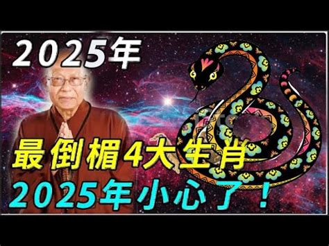 2025什麼年